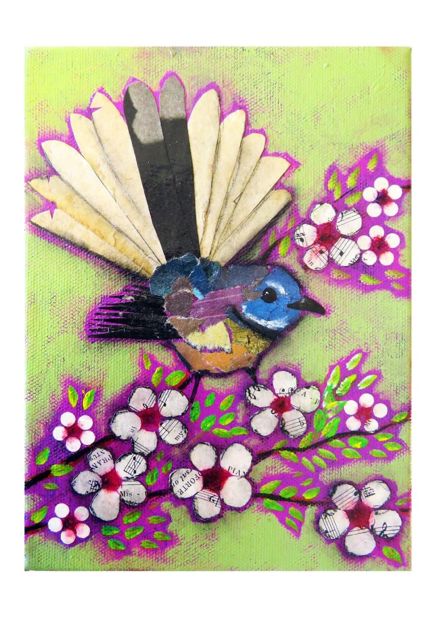 Fantail On Manuka