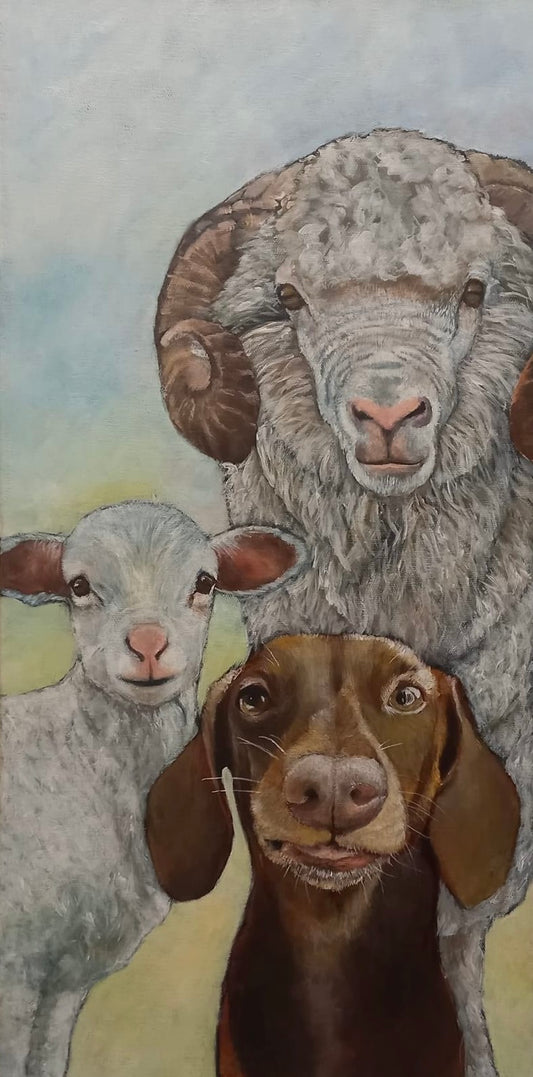 Ram A Lamb A Dog